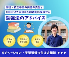 中学生・高校生／学習法アドバイスします 著書「本当の学び方」著者が、学び方を直接教えます！