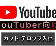 始めたてYouTuber向けに動画編集致します イメージ1