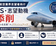 航空業界志望者のESを添削します イメージ1