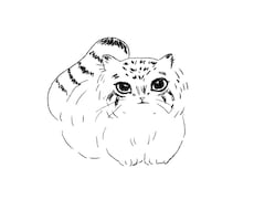 動物のゆるいイラストを手描き風の線画で描きます イメージ1