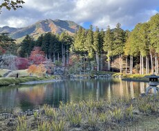 誰かとちょっと話したい、5分でもお聞きします イメージ1