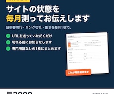 サイトの保守として毎月の点検を報告します イメージ1
