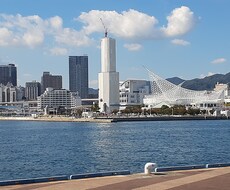 認定心理士が恋愛・仕事・家庭・人生等相談にのります イメージ1