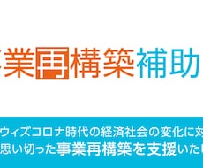 事業再構築補助金申請に必要な経営計画書を作成します 申請だけでは意味がない!採択レベルの計画書を作成します。