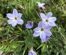 いつでも♡お話聞きます イメージ1