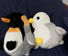 何でもお話聞きます イメージ1