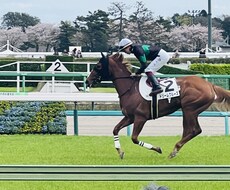 競馬予想のお手伝いをします イメージ1