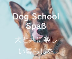 愛犬の「なんで！？」を一緒に解決します 愛犬の「困った」に悩む飼い主さんをサポートします