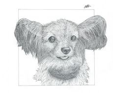 ペットの似顔絵をお描きします イメージ1
