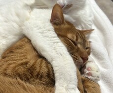 貴方の悩んでいる悩みや愚痴、恋愛相談お話し聞きます イメージ1