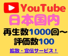 YouTube日本人再生回数、評価数拡散します イメージ1