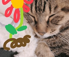 タロットとペンデュラムで占います 好転できるようアドバイスも添えさせていただきます。