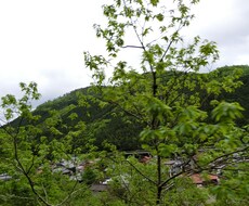相談にのります 心と身体にお悩みのあなたへ看護師が相談にのります