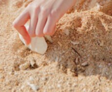 沖縄旅行の最新スポットおすすめプランをご提案します ロケーションコーディネートのプロが、沖縄旅行プラン作成。