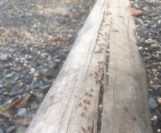 子どもとかかわる方の悩みを聞きます イメージ1