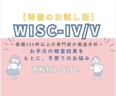 お試し版／WISC検査を簡易的に解説いたします 実績500件超の専門家が発達検査の結果を丁寧に読み解き説明！