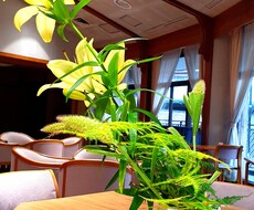 現役男子高校生が恋愛相談会をします 顔見知りの男子に聞くの少しはずかしい事等を僕に聞いて下さい！