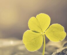 どんな悩みでも一緒に考えます イメージ1