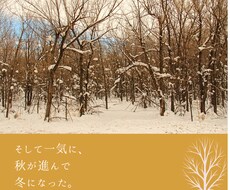 一気に秋が進んで冬になったをCanvaで作ります イメージ1