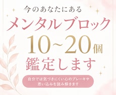 あなたのメンタルブロック10〜20個を見つけます イメージ1
