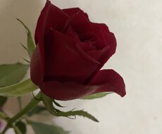 話し相手になります イメージ1
