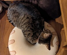 お悩み相談なんでも聞きます イメージ1