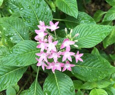 心のお悩み伺います イメージ1