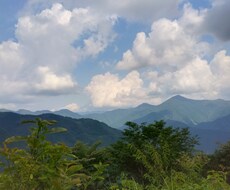 悩みをお話していただければと思います イメージ1