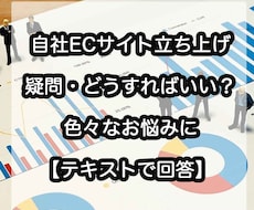 B2B EC立ち上げ疑問テキストでお答えします 元・PMOが、システム連携や要件定義の悩みを文章でサポート