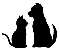 どんなお話も聴きます イメージ1