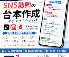 snsにおける動画投稿のネタと台本を作ります イメージ1