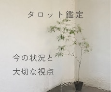タロットで今の状況と大切な視点をお伝えします 恋愛・仕事・人間関係｜悩みに寄り添い解決のヒントを届けます