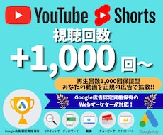 YouTubeの再生回数を1,000回伸ばします イメージ1