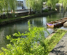 初心者ですがよろしくお願いします イメージ1