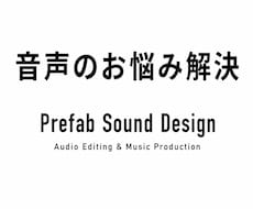 音声の整音、ノイズ除去致します イメージ1