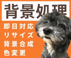 最短即日！キレイに背景透過・削除(白抜き)します ＼　通常価格　で　豊富な追加対応　／
