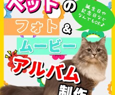 大切なペットのムービー＆フォトアルバムを作ります スマホで撮った写真や動画を使い格安でオシャレな想い出に編集！
