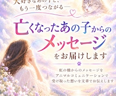 亡くなったペットからのメッセージをお届けします イメージ1