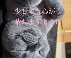 恋愛•子育て•仕事の不安や悩みなんでも相談乗ります イメージ1