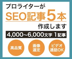 2枠限定！SEO記事を5本作成します ビデオ通話での相談可能！画像選定&無料修正対応もOK