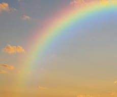 自分の感情を後回しにしてきたあなたに寄り添います イメージ1