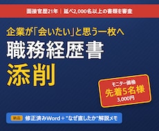 職務経歴書｜会いたいと思わせる書類へ添削します イメージ1