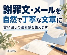 謝罪文・ビジネスメールを自然な文章にします イメージ1