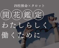 限定3名｜四柱推命×タロットで【適職鑑定】をします イメージ1