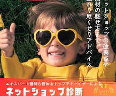 プロがあなたのネットショップを診断します あなたのECビジネスを次ステージへ！出し惜しみなくアドバイス