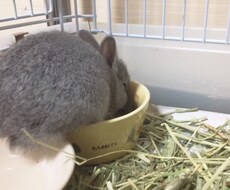 貴方のお話を聞きします イメージ1