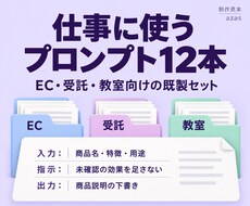 EC・受託・教室の業務プロンプト12本を届けます イメージ1
