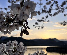 愚痴、お悩みなんでもお話し伺います イメージ1