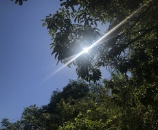 糖尿病で運動療法の応援致します イメージ1