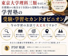 受験・学習のセカンドオピニオンをします お子さまにとって本当に必要なアドバイスをお伝えします